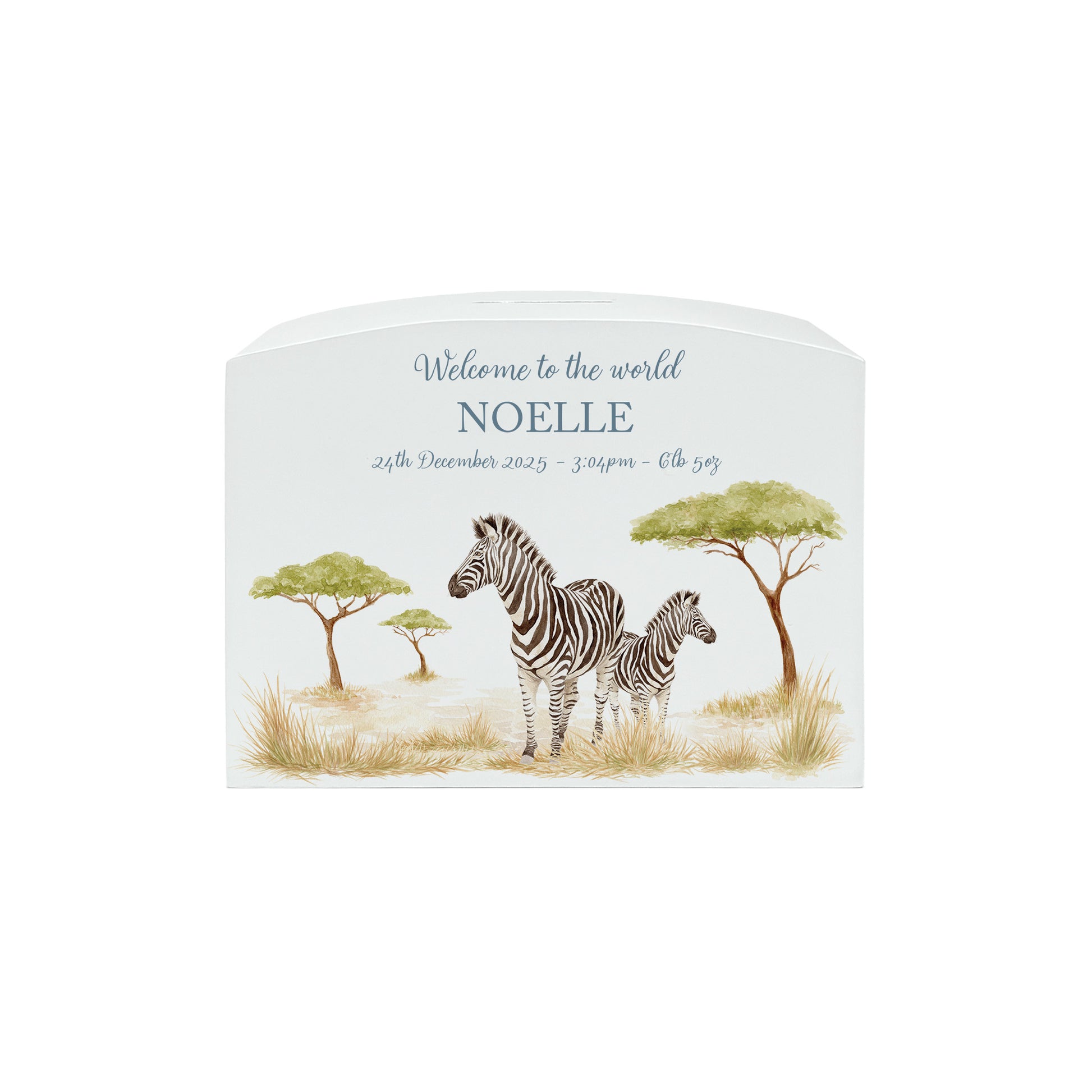 Zebra money box, mummy and baby animal design in the savannah. White arched money box.