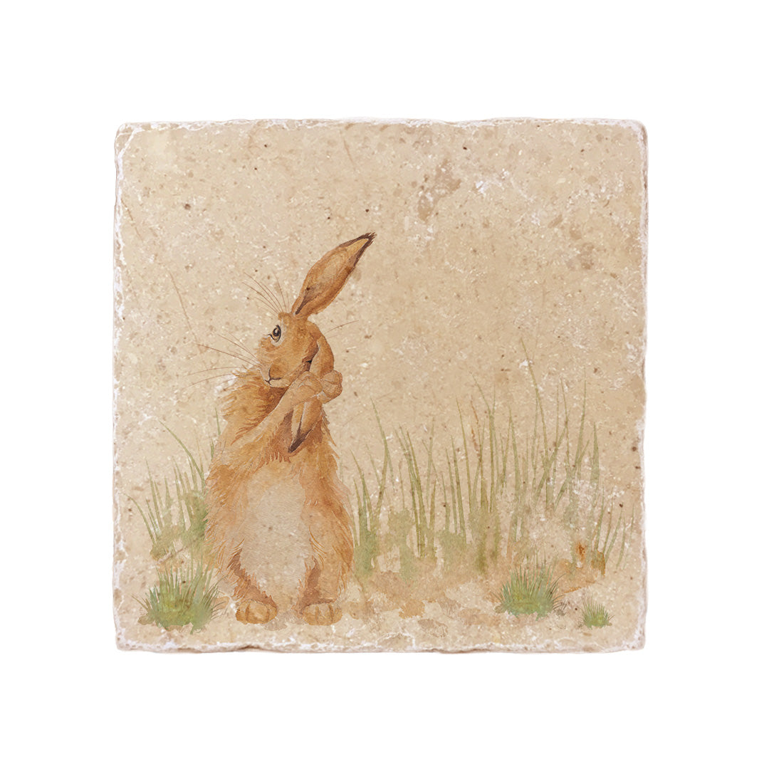 A square cream marble placemat featuring a watercolour countryside animal design of a hare in grass cleaning his ear.